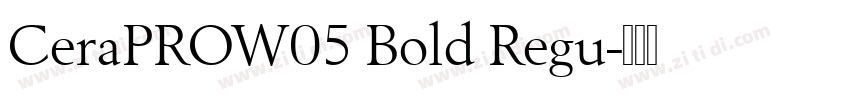 CeraPROW05 Bold Regu字体转换